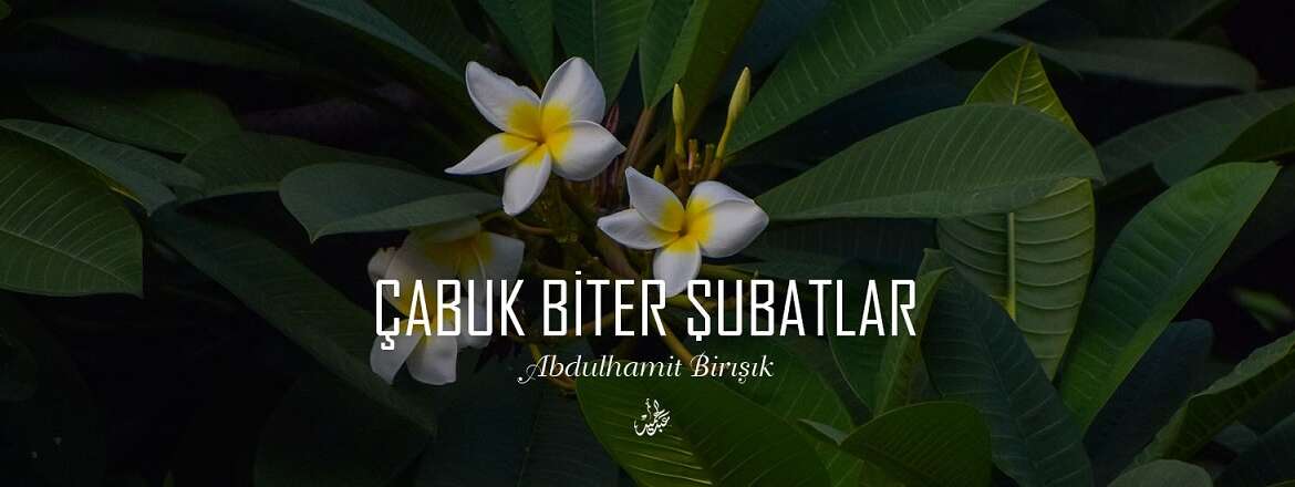 Şiir | Çabuk Biter Şubatlar